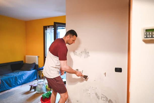 Best Mold Remediation for Specific Building Types in North Shore, CA